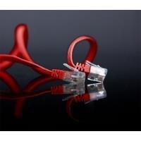 Shiverpeaks u/utp cat. 6 10M - RJ -45 - RJ -45 - May - Gold - Cat6 - U/UTP (UTP) (SP720 -SLR)