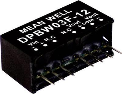 MEAN WELL DPBW03G-15 Alimentatore e convertitore di tensione (DPBW03G-15)