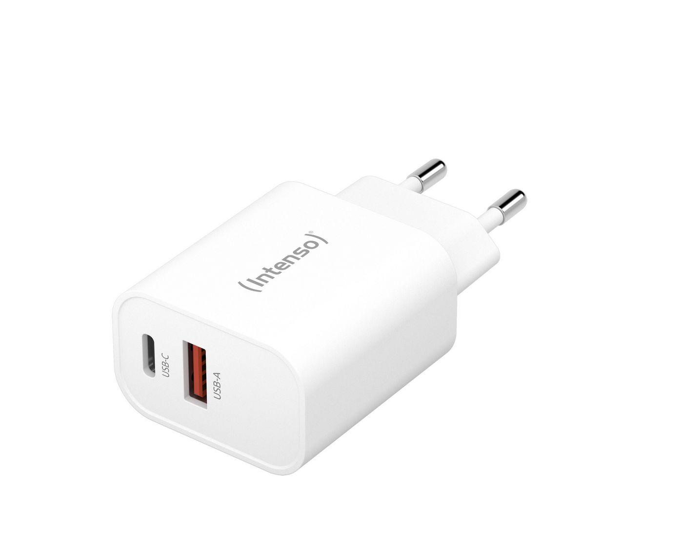INTENSO ALIMENTATORE FAST 30W 2 ENTRATE USB A USB C