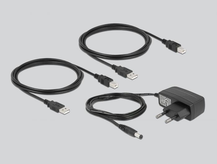 Delock Interruttore USB 2.0 per 2 PC su 2 dispositivi