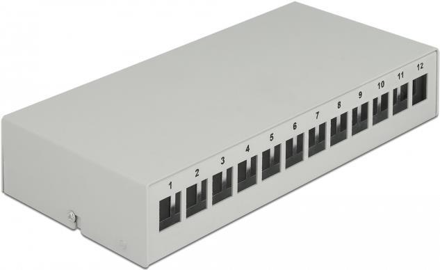 DELOCK - Pannello patch di Keystone vuoto - Adatto per il montaggio a parete, Assemblaggio della guida DIN - Grigio - 12 porte