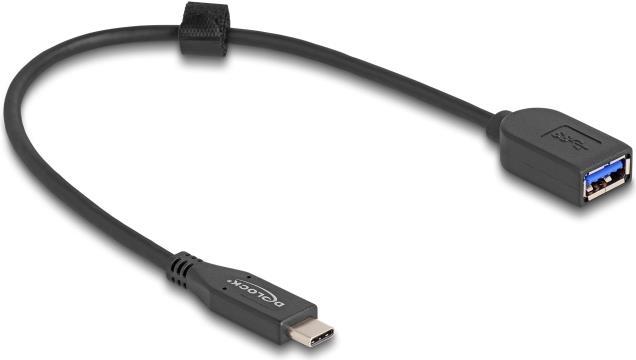 Delock Cavo USB da 10 Gbps...
