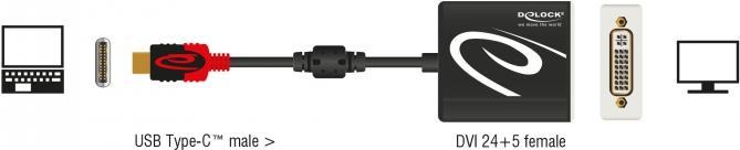 DeLOCK 61213 cavo e...