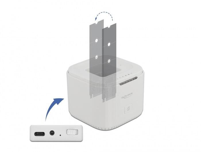 Delock dockingStation per...