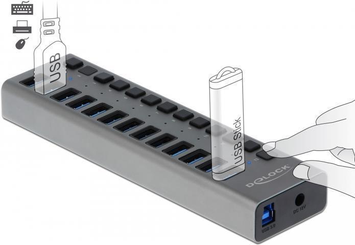 Delock Hub USB esterno SuperSpeed Ã¢â‚¬â€¹Ã¢â‚¬â€¹con 13 porte, commutabili individualmente