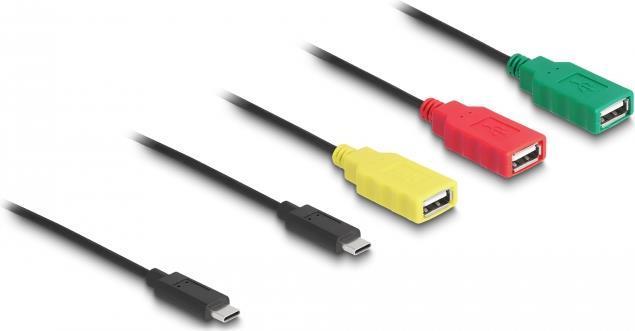 Delock Cavo Hub USB 2.0 a 4...