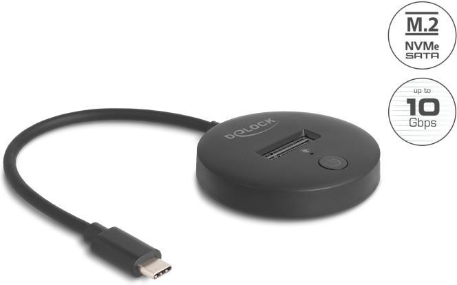 Delock Docking station M.2...