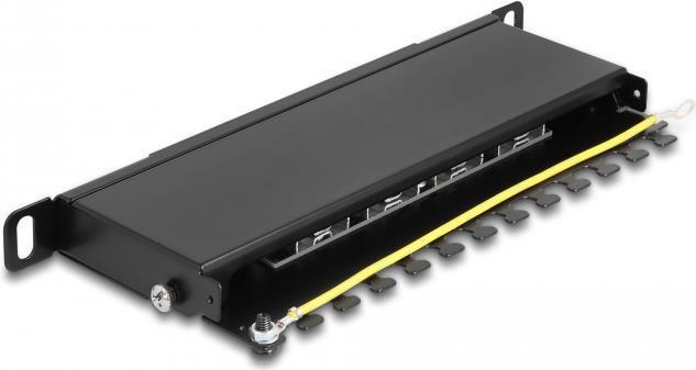 Delock - Pannello patch - Montabile in rack - CAT 6a - RJ-45 X 8 LSA X 8 - Nero - 05U - 254 cm (10")