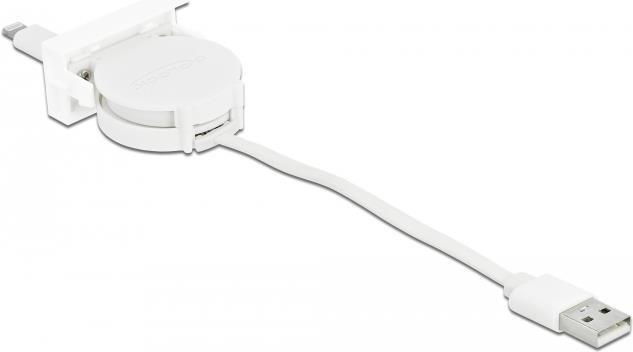 DeLOCK Modulo USB 2.0 Easy...