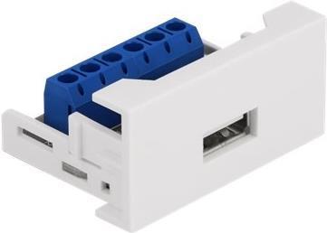 Delock Modulo Easy 45 USB 2.0 Tipo-A femmina a morsettiera 22,5 x 45 mm