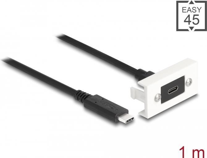 Delock Modulo Easy 45 SuperSpeed Ã¢â‚¬â€¹Ã¢â‚¬â€¹Ã¢â‚¬â€¹Ã¢â‚¬â€¹USB 10 Gbps (USB 3.2 G