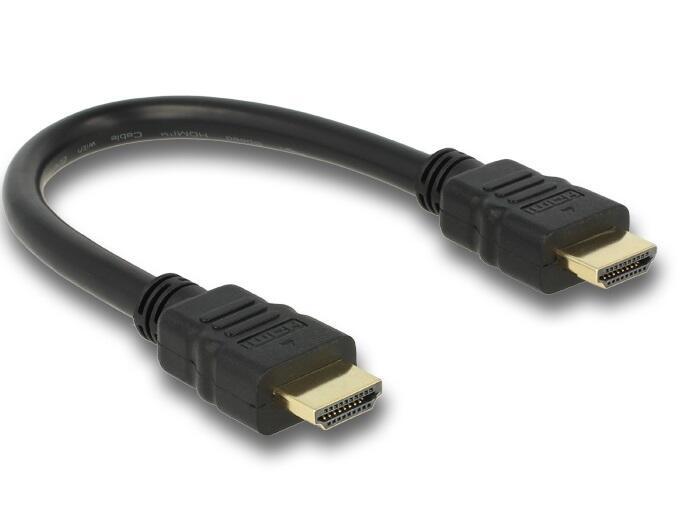 Delock Kabel High Speed HDMI Ethernet - A Stecker / Stecker 25 cm