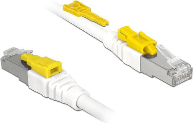 Delock Cavo RJ45 Sicuro...