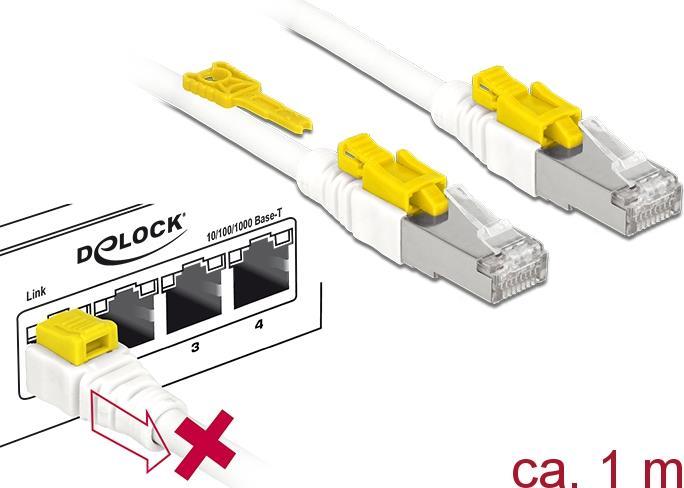 Delock Cavo RJ45 sicuro...