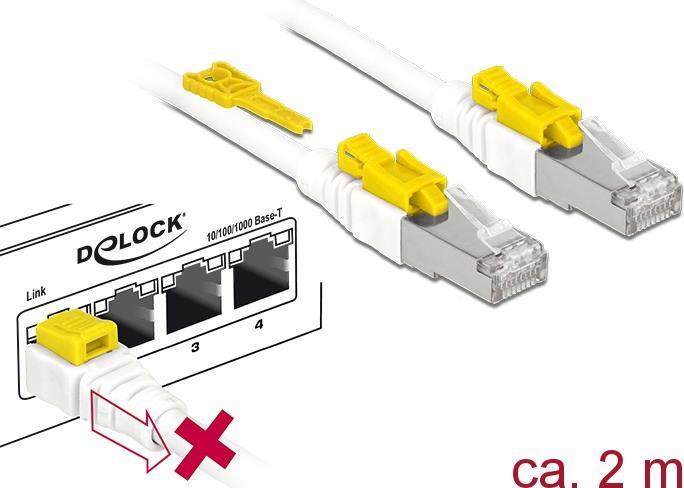 Delock Cavo RJ45 sicuro...