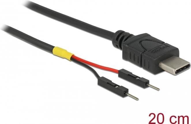 DeLOCK 24 pin USB-C (maschio) - 2 pin USB-samlestykke (maschio) Ordina cavo USB/corrente da 20 cm