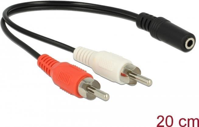Delock Cavo audio da 2...