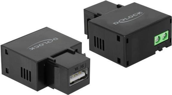 Delock Modulo Keystone con...