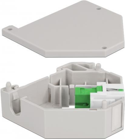 Delock Adattatore per guida DIN con presa Keystone SC Simplex su presa verde