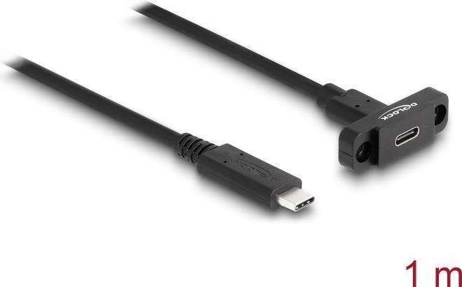 Delock Cavo SuperSpeed Ã¢â‚¬â€¹Ã¢â‚¬â€¹USB 10 Gbps (USB 3.2 Gen 2) USB Tipo-C maschio a femmina 1 m per mon
