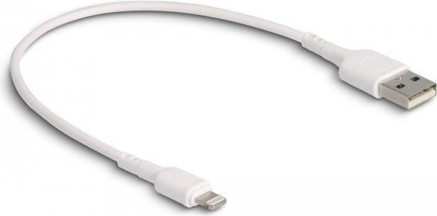 Delock Cavo di ricarica USB...