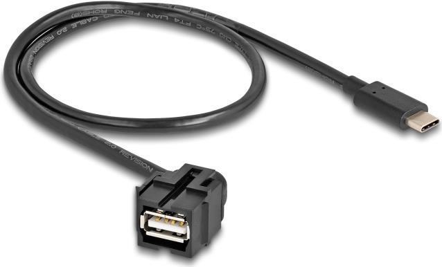 Delock Modulo Keystone da USB 2.0 A femmina a USB Type-C maschio 250Ã‚Â°