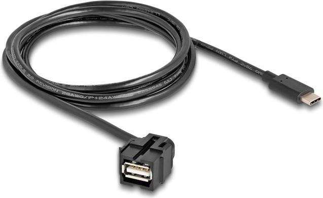 Delock Modulo Keystone da USB 2.0 A femmina a USB Type-C maschio 250Ã‚Â°