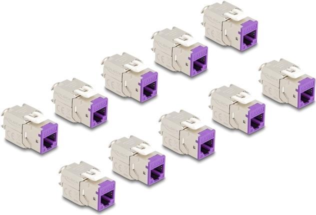 Delock Modulo Keystone...