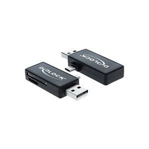 DeLOCK 91731 lettore di...