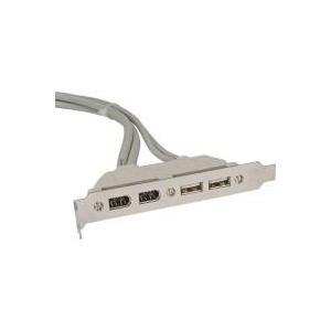 Piastra slot USB InLine - interna/esterna - 2xUSB Tipo A (W) e 2xFW 6pin (W) - 3x9pin (M) - 04 m (33390A)
