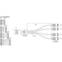 Cavo di collegamento SAS - Mini-SAS SFF-8087 a 4x SATA - 11 - OCR - 0,75 m