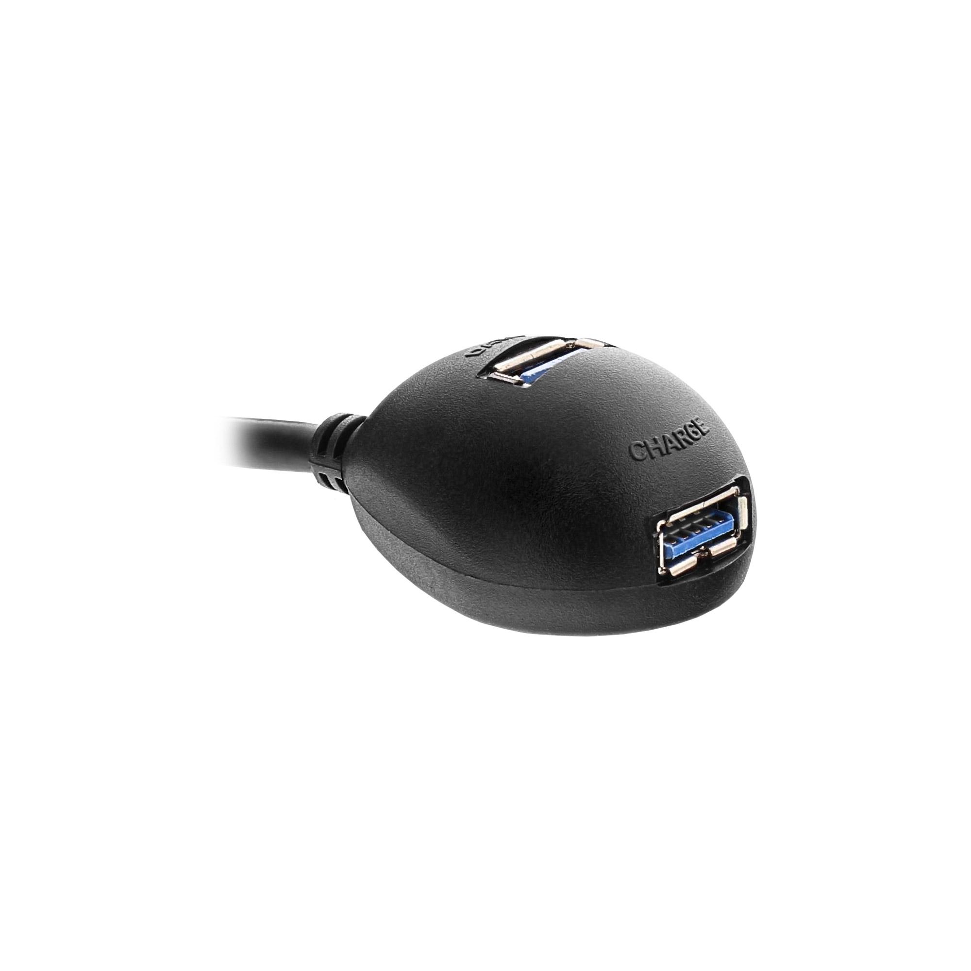 Inline - cavo perdita USB - tipo USB a 9 pin (m) - 9 -pin USB Tipo A (W) - 20m (USB3.0) - Black (35652)