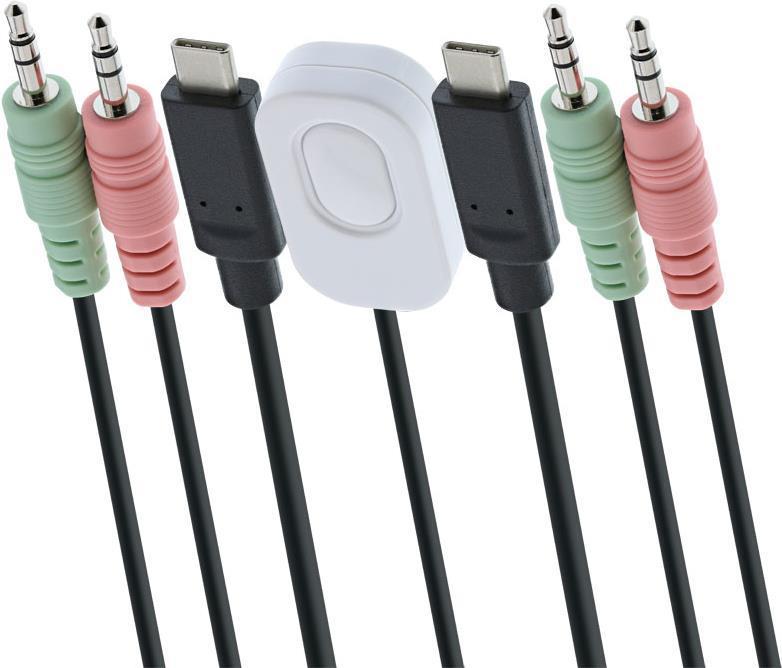 Switch KVM - 2 vie - Da USB-C a DisplayPort 1.2 - 4K - Audio - cavo integrato