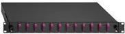Rutenbeck - Box cavo in fibra ottica - SC duplex mm x 24 - nero, acquamarina, RAL 9005 - 1u - 48,3 cm (19 ") (2280305240)