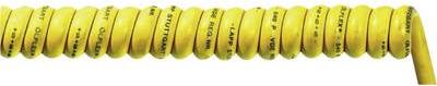 Cavo cavo laplic Cavo a spirale -lllex Spiral 540 p 600 mm / 2000 mm 2 x 075 mm giallo 73220108 1 St. (73220108)