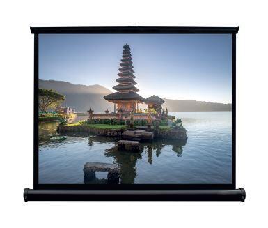 Schermata del tavolo mobile WS GR, 60 4: 3, 122x91cm, MattweÃƒÂ£ BE/BL