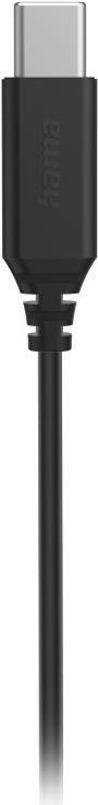 Hama Sea Auricolare Cablato In-ear Musica e Chiamate USB tipo-C Nero, Grigio (Hama Sea In-Ear Earset, USB-C, Inline Microphone,