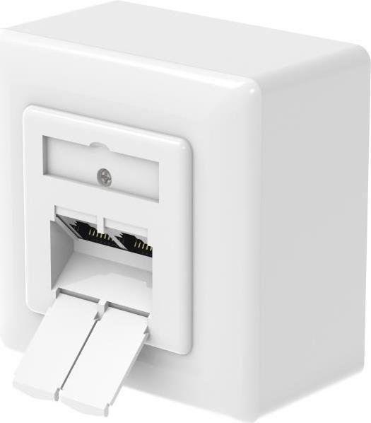 Hama Network Can CAT-6A 10 Gbit/s schermato 2 porte superficie/flush (00300029)