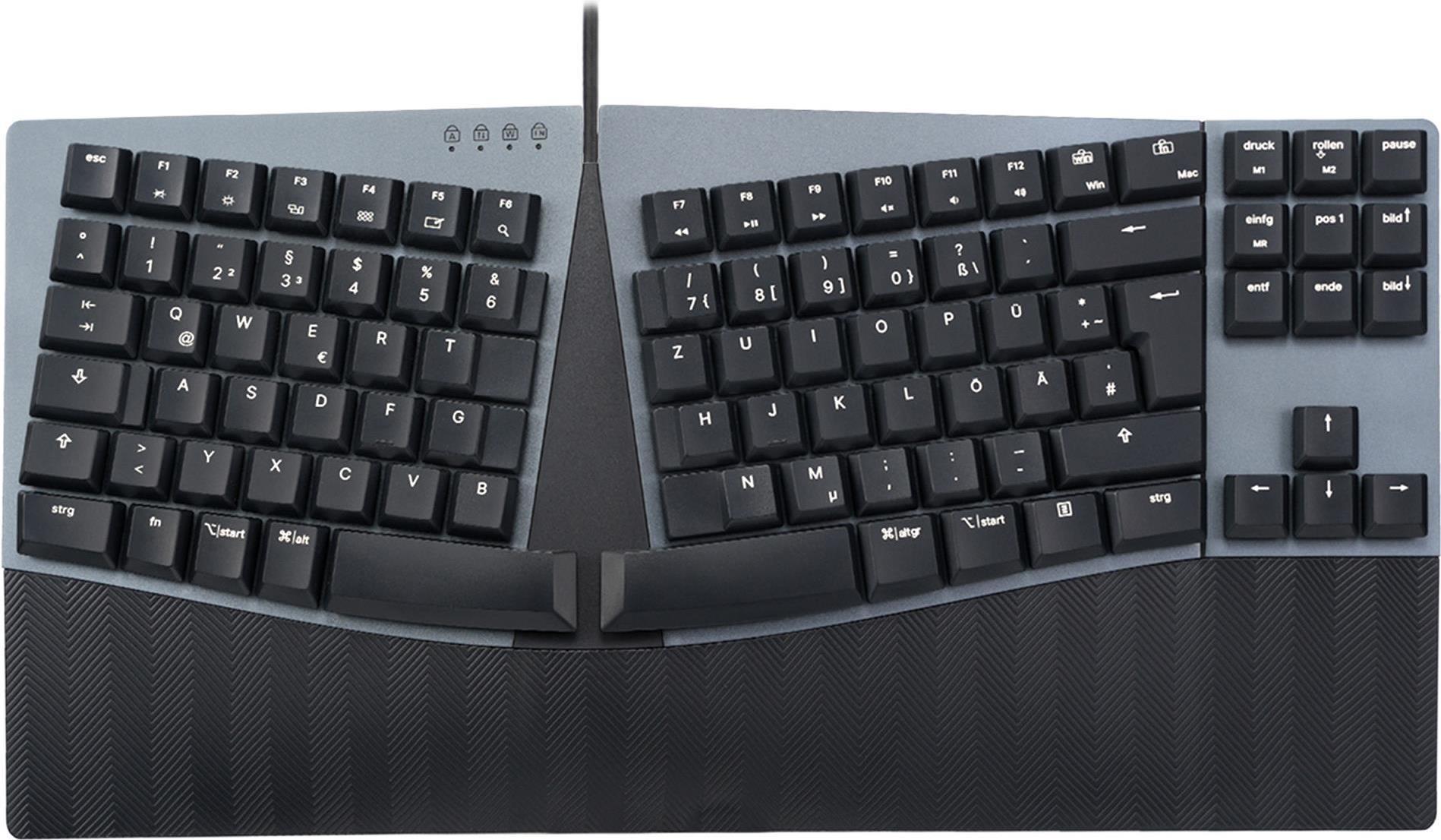 PERIXX PERIBOARD-335 DE BL, switch di clic blu flat meccanico compatto meccanico cablato (periboard-335 de bl)