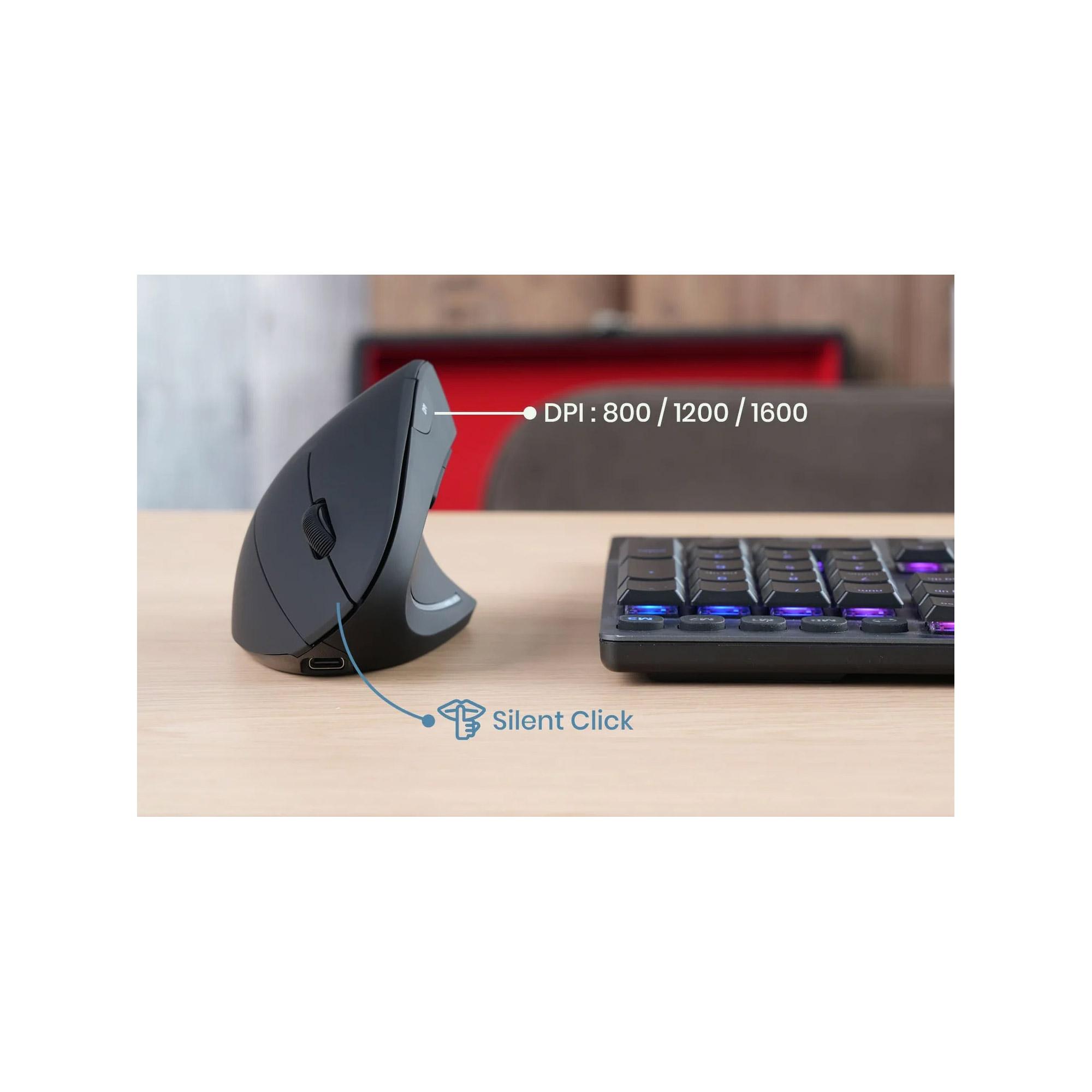 InLine 57249B mouse