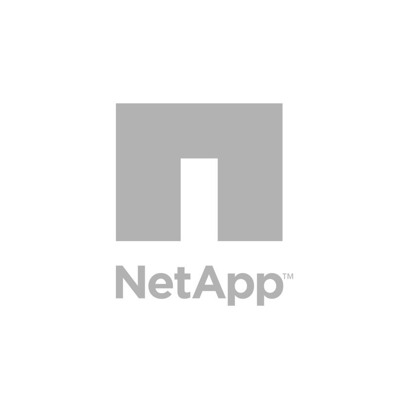 Modulo controller NetApp FAS2040