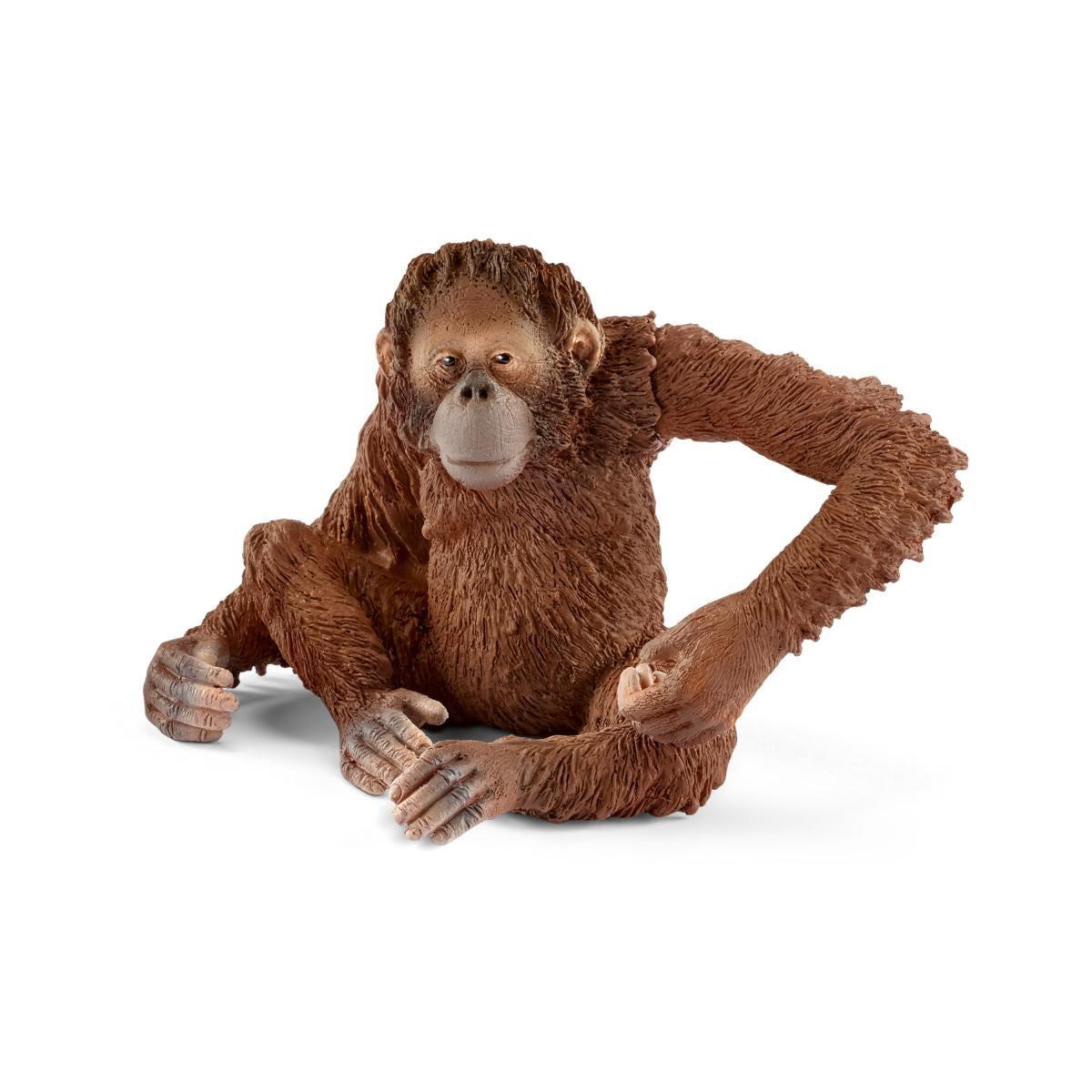 schleich WILD LIFE 14775 action figure giocattolo (SCHLEICH Wild Life Female Orangutan Toy Figure 14775)