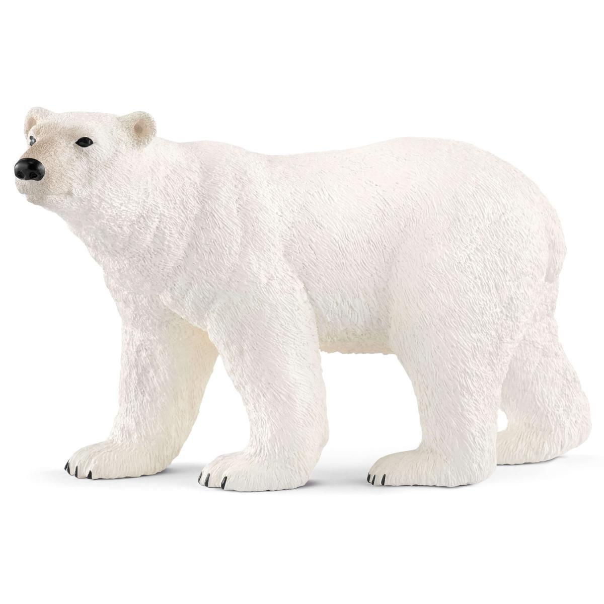 schleich WILD LIFE 14800 action figure giocattolo (SCHLEICH Wild Life Polar Bear Toy Figure 14800)