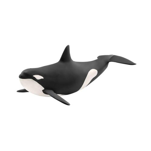 schleich WILD LIFE 14807 action figure giocattolo (SCHLEICH Wild Life Killer Whale Toy Figure Black/White 3 to 8 Years 14807)