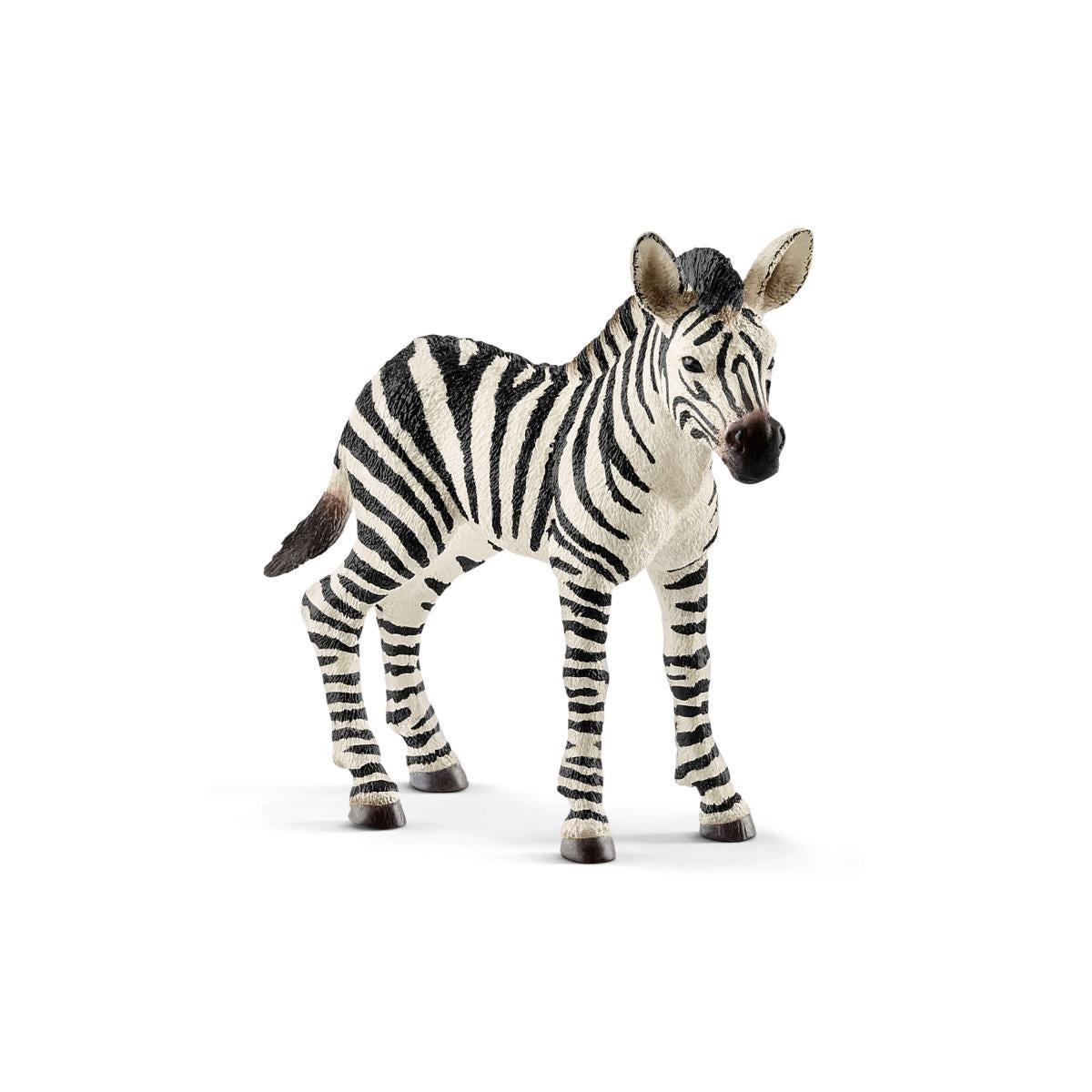 schleich WILD LIFE 14811 action figure giocattolo (SCHLEICH Wild Life Zebra Foal Toy Figure 3 to 8 Years 14811)