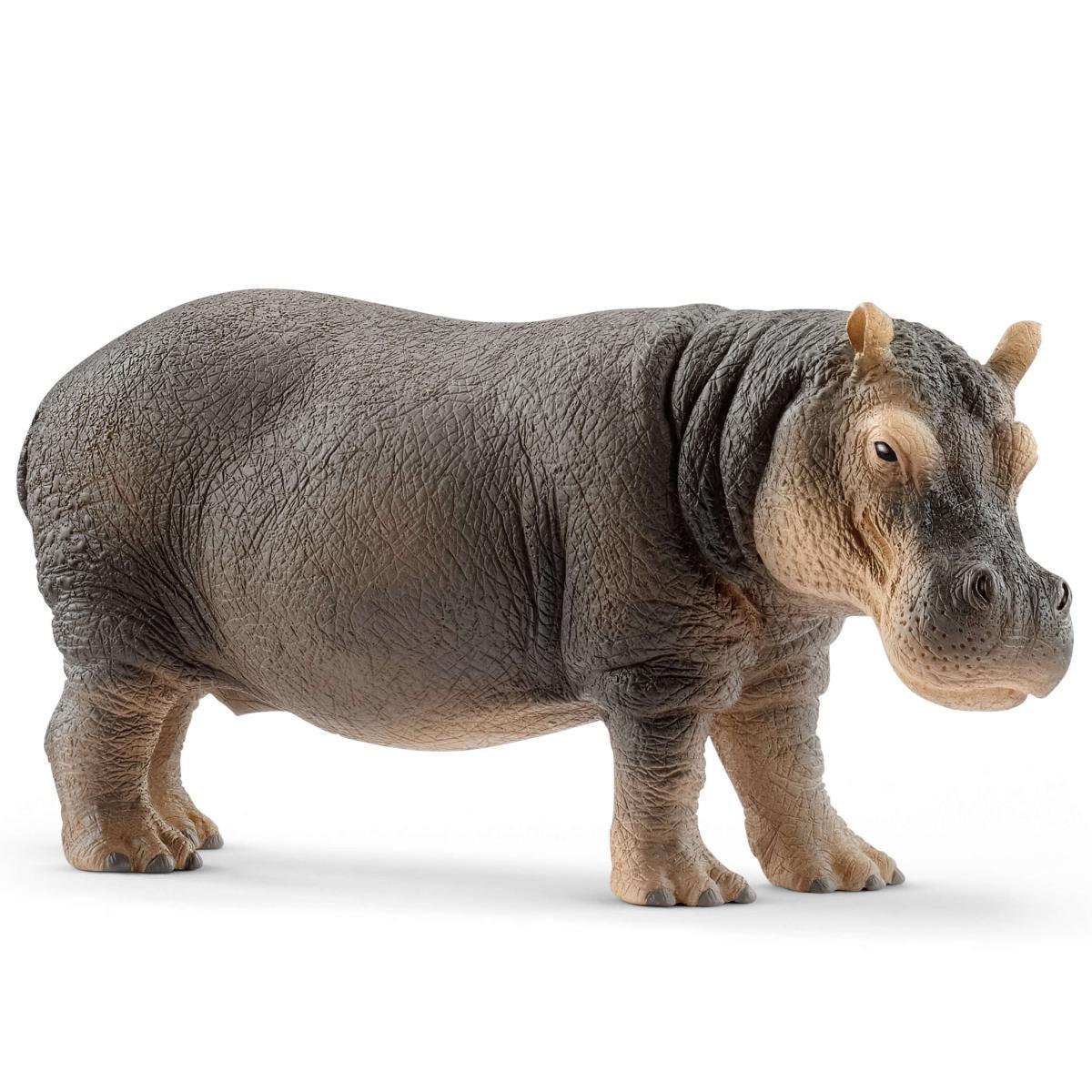 schleich WILD LIFE 14814 action figure giocattolo (SCHLEICH Wild Life Hippopotamus Toy Figure 14814)