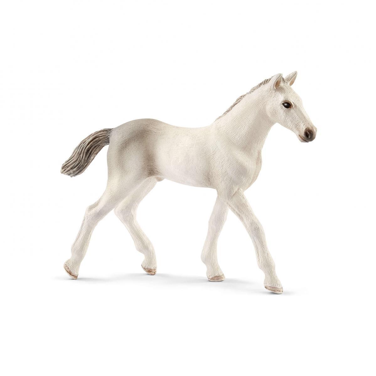 schleich HORSE CLUB 13860 action figure giocattolo (SCHLEICH Horse Club Holsteiner Foal Toy Figure 5 to 12 Years White 13860)