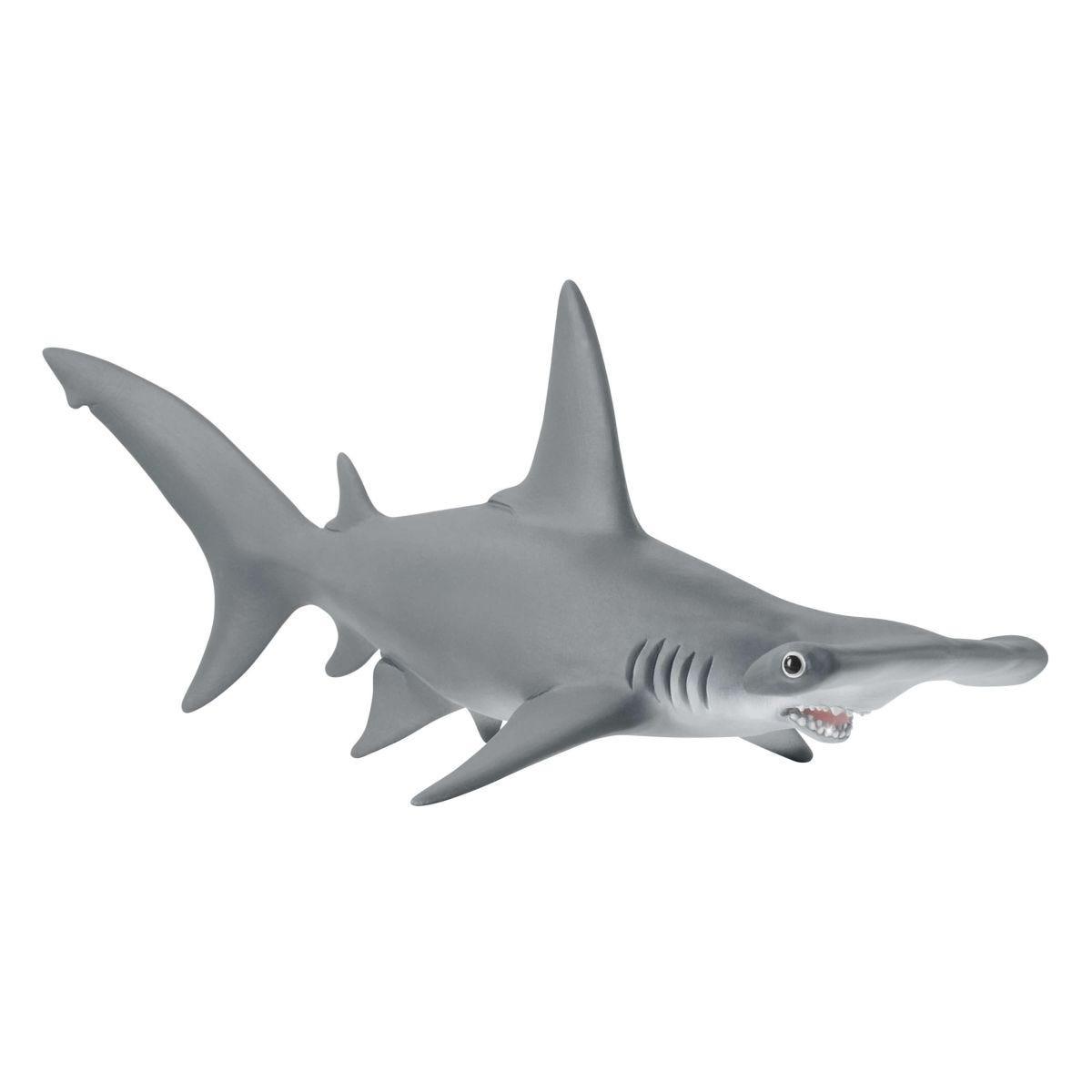 schleich WILD LIFE 14835 action figure giocattolo (SCHLEICH Wild Life Hammerhead Shark Toy Figure 14835)