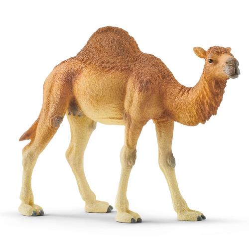 schleich WILD LIFE 14832 action figure giocattolo (SCHLEICH Wild Life Dromedary Toy Figure 14832)