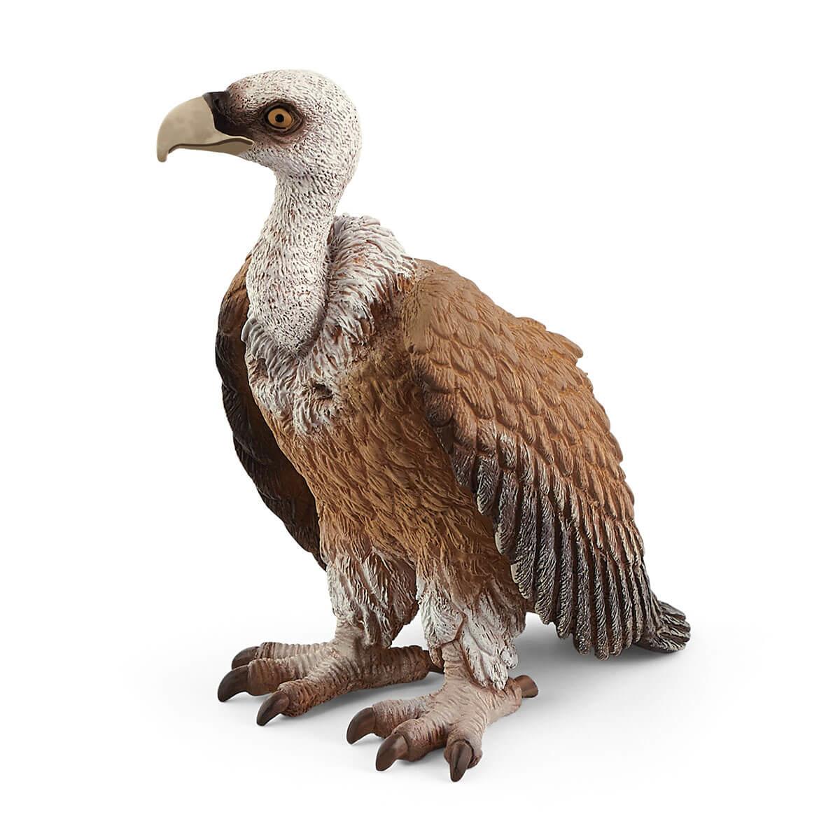 schleich WILD LIFE Vulture (SCHLEICH Wild Life Vulture Toy Figure 3 to 8 Years Multi-colour 14847)